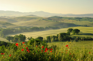 Photo Tip of the Week: How to Master Depth of Field